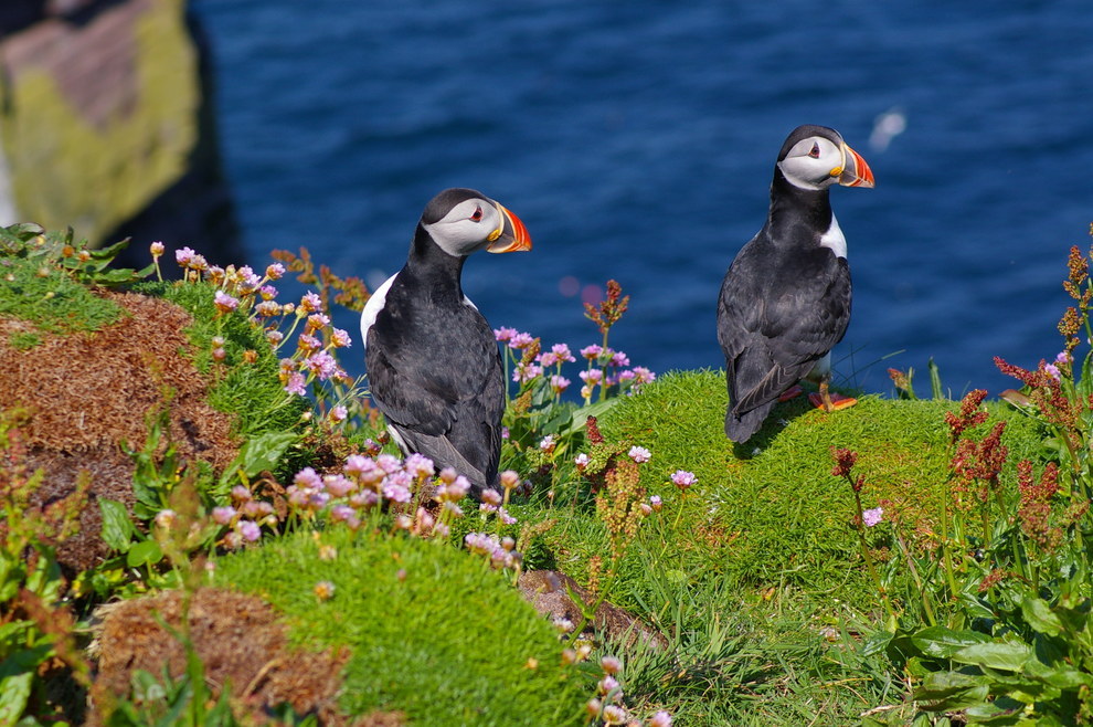 Káprázatos fotók Skóciáról, amikről eddig azt hitted, hogy nem valóságosak