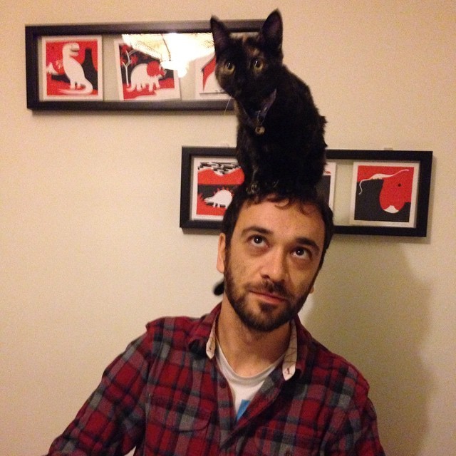 Ezek a macskák kalapnak képzelik magukat - fotók