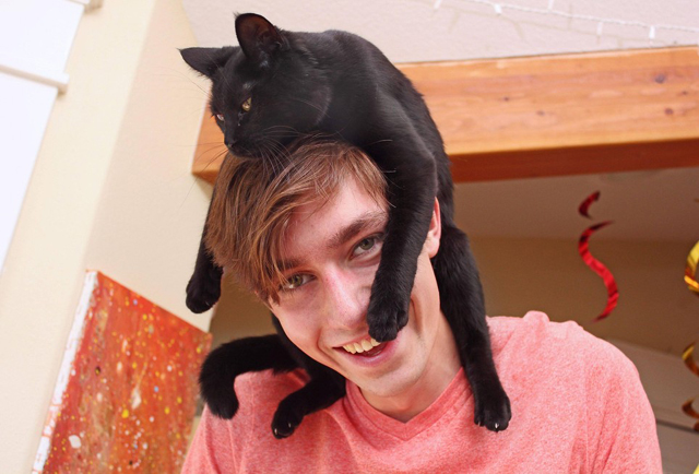 Ezek a macskák kalapnak képzelik magukat - fotók