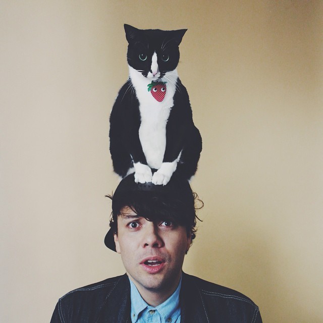 Ezek a macskák kalapnak képzelik magukat - fotók