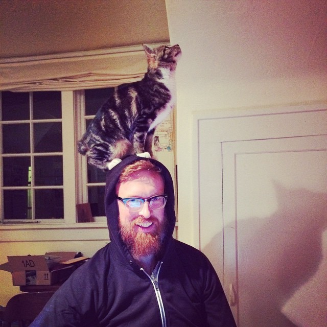 Ezek a macskák kalapnak képzelik magukat - fotók