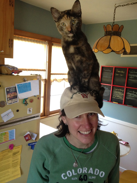 Ezek a macskák kalapnak képzelik magukat - fotók