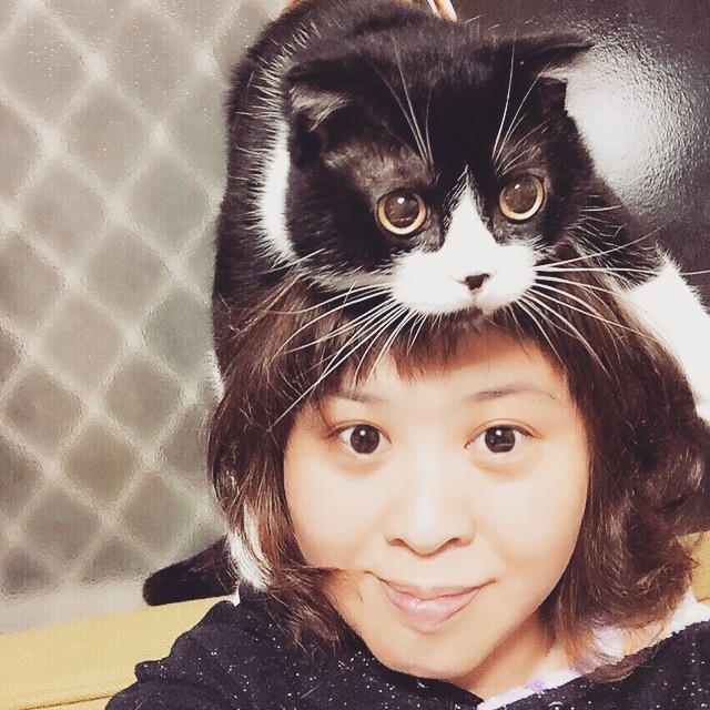 Ezek a macskák kalapnak képzelik magukat - fotók