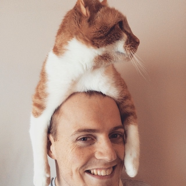 Ezek a macskák kalapnak képzelik magukat - fotók