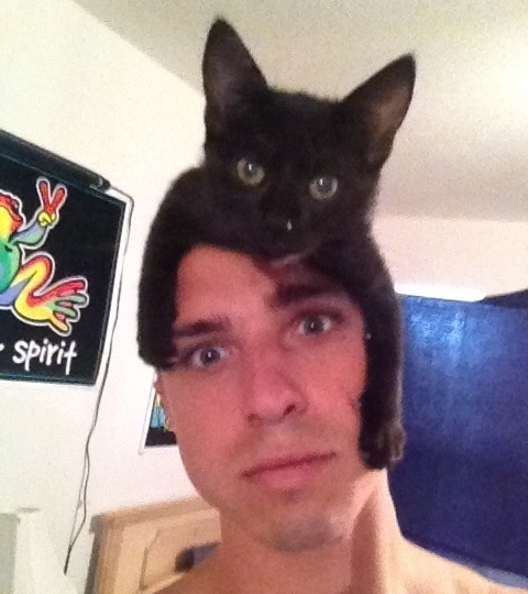 Ezek a macskák kalapnak képzelik magukat - fotók