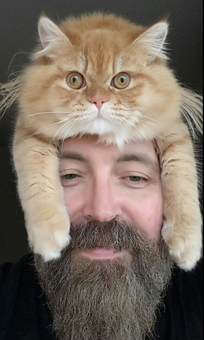 Ezek a macskák kalapnak képzelik magukat - fotók