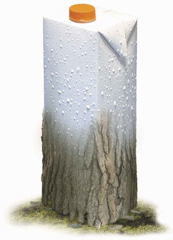 Neked miért fontosak az erdők?