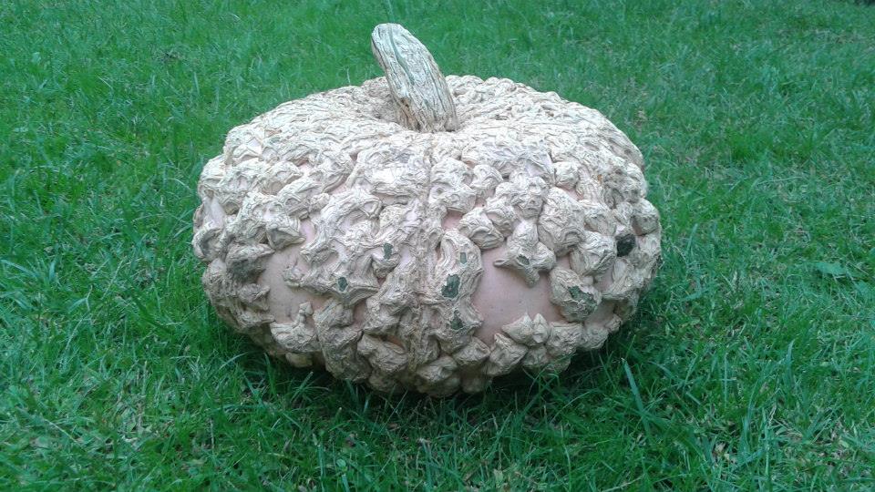 Az egérdinnyétől a balzsamuborkáig - konyhakerti kincsek, amelyekről nem is hallottál