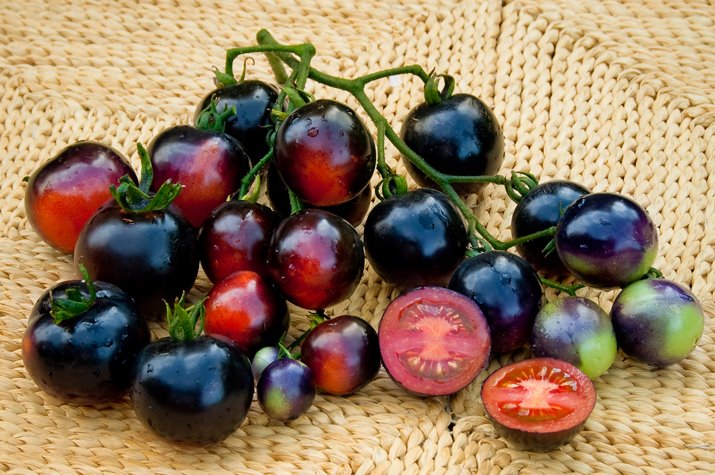 Az egérdinnyétől a balzsamuborkáig - konyhakerti kincsek, amelyekről nem is hallottál