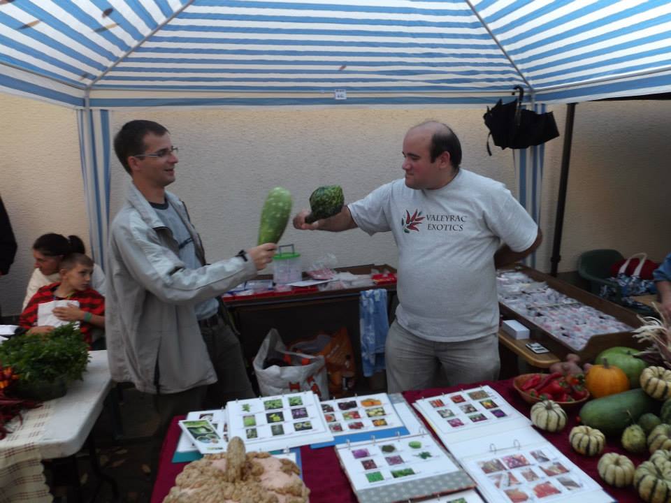 Az egérdinnyétől a balzsamuborkáig - konyhakerti kincsek, amelyekről nem is hallottál