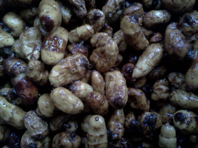 Az egérdinnyétől a balzsamuborkáig - konyhakerti kincsek, amelyekről nem is hallottál