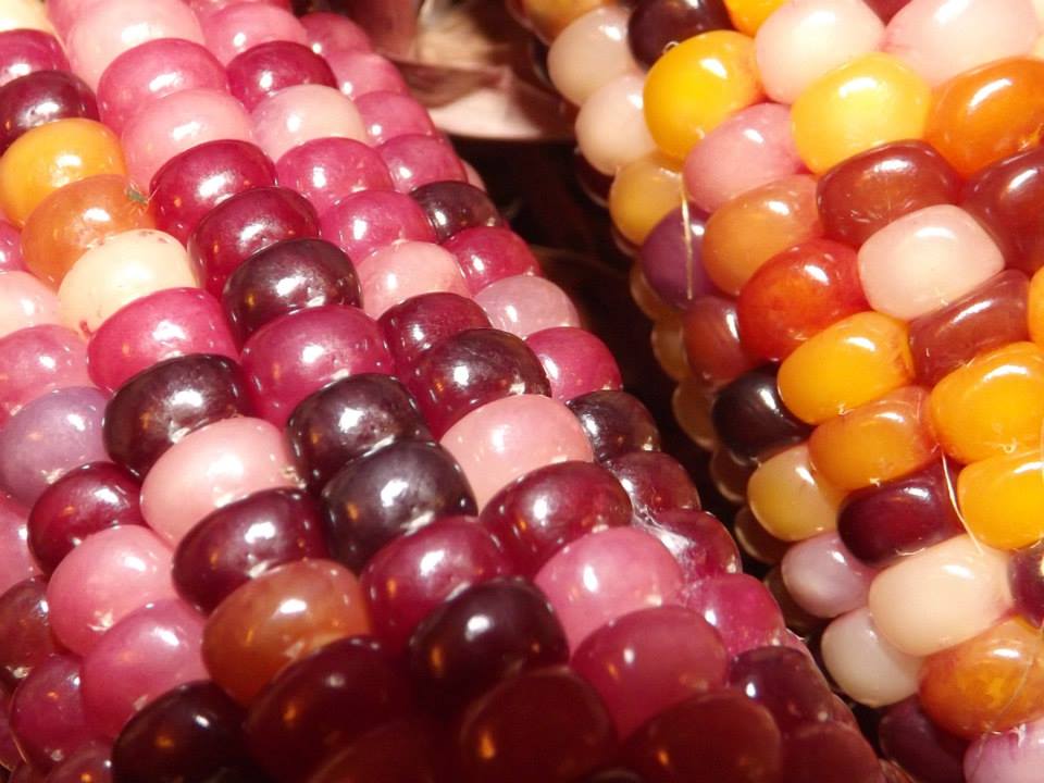 Az egérdinnyétől a balzsamuborkáig - konyhakerti kincsek, amelyekről nem is hallottál