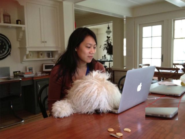 10 hungarikum, amit a szülinapos Mark Zuckerbegnek javaslunk a pulija mellé