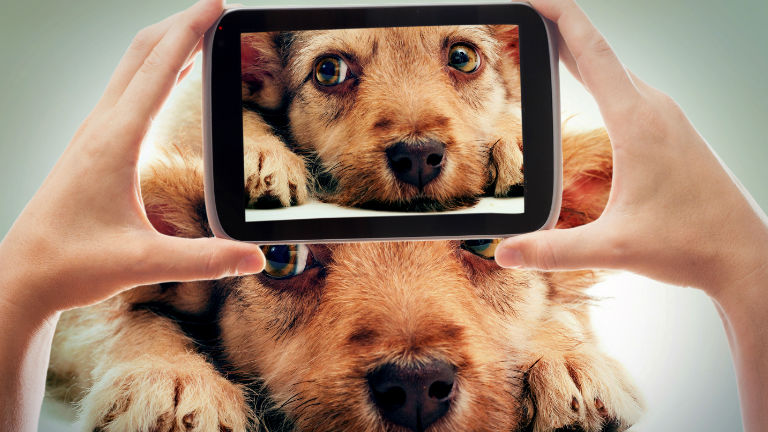 Mutasd meg nekünk  házi kedvencedet és nyerj Fressnapf ajándékutalványt! 