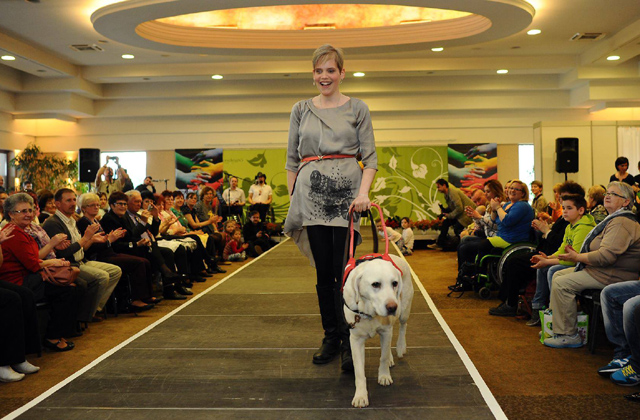 Fotók: Lovagi Milán