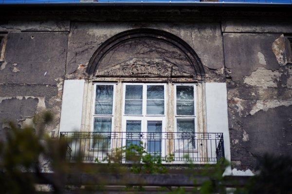 Álomrandi a gyönyörű Füvészkertben