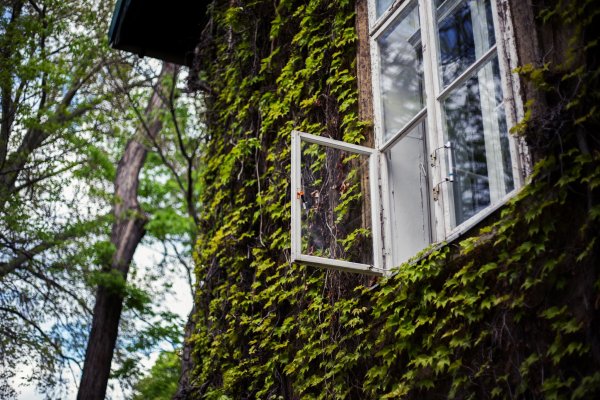 Álomrandi a gyönyörű Füvészkertben