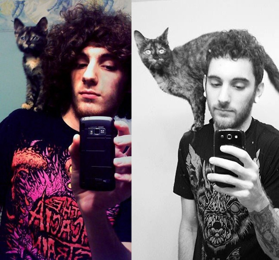 Cuki fotók: ezeknek a macskáknak csak a mérete változott