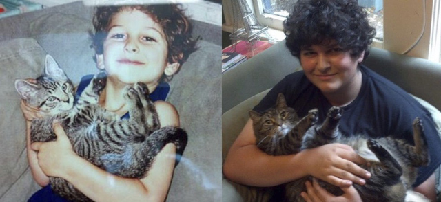 Cuki fotók: ezeknek a macskáknak csak a mérete változott