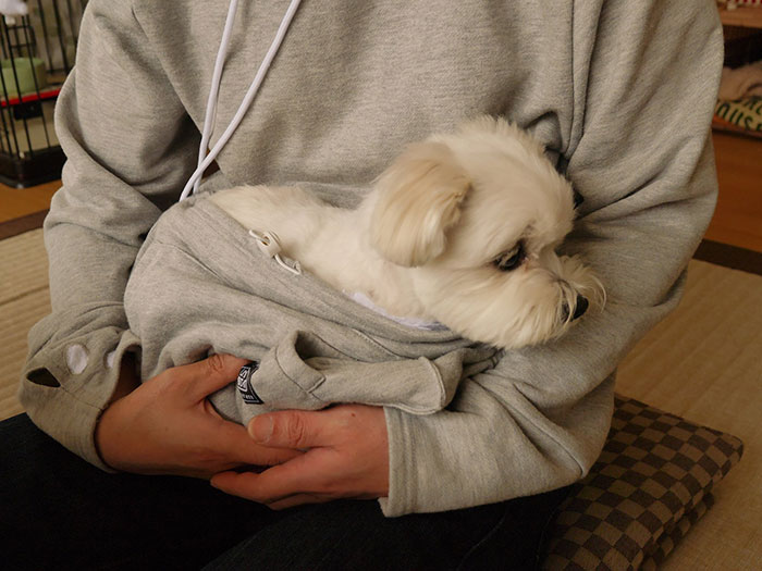 Hordd magadon a macskád! Feltalálták a világ első macskapulcsiját