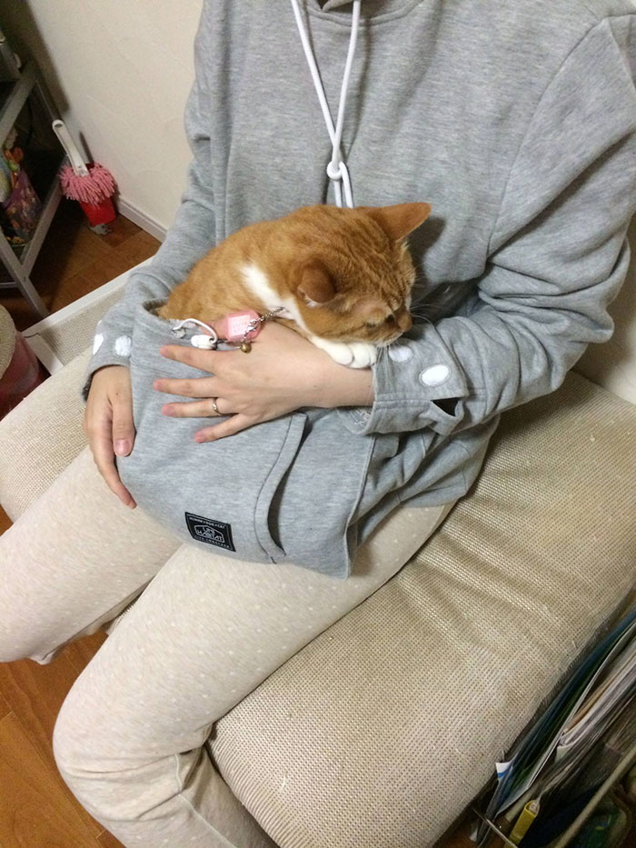 Hordd magadon a macskád! Feltalálták a világ első macskapulcsiját