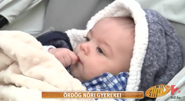 Ilyen volt Vencel kéthónaposan (Fotó: Aktív)