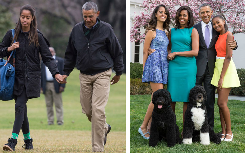 Büszke lányos apukák Hollywoodban Büszke lányos apukák Hollywoodban