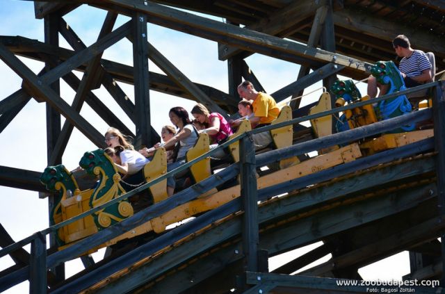 Forrás: zoobudapest.hu
