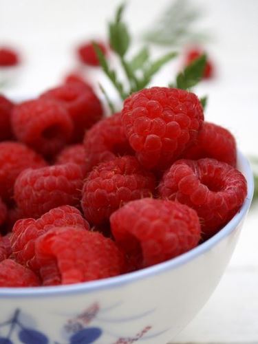 Befőzés: így készül a házi málnaszörp Befőzés: így készül a házi málnaszörp