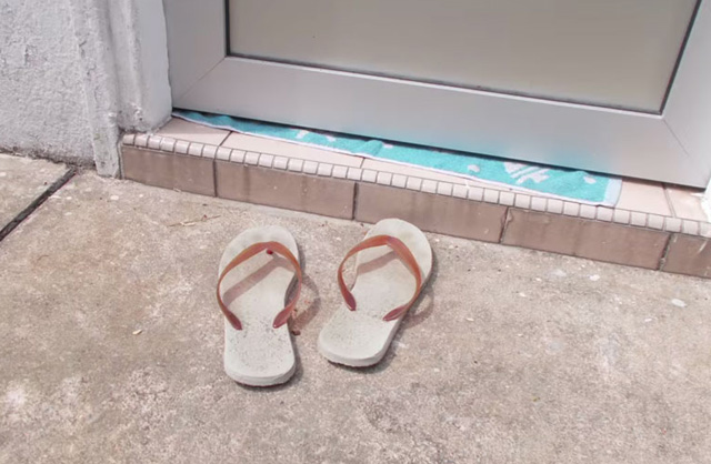 Ő a világ első fotós kutyája - galéria