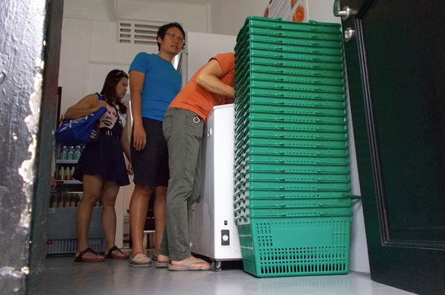 Ő a világ első fotós kutyája - galéria