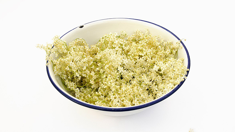 Hogyan kell bodzaszörpöt készíteni? Hogyan kell bodzaszörpöt készíteni?