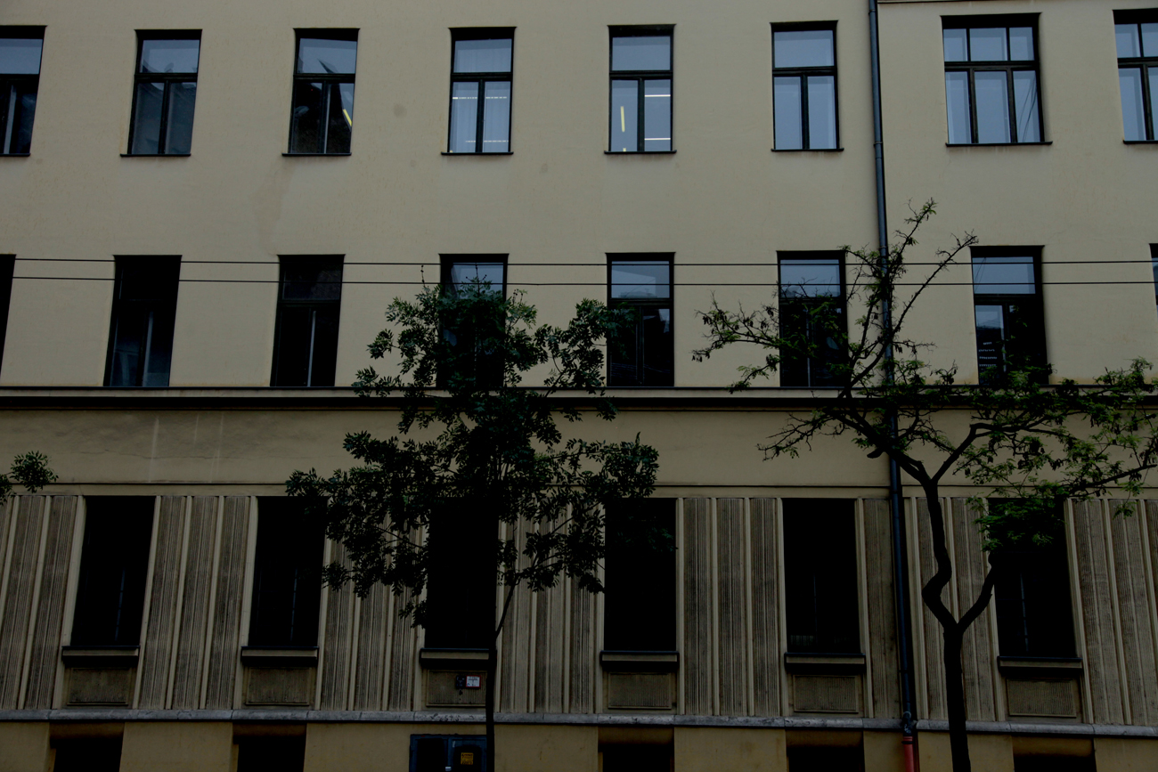 Gyerekek akik matematikusnak születtek