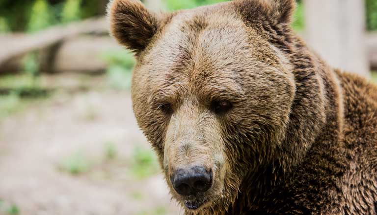 Fotó: Földházi Árpád / Discovery Channel