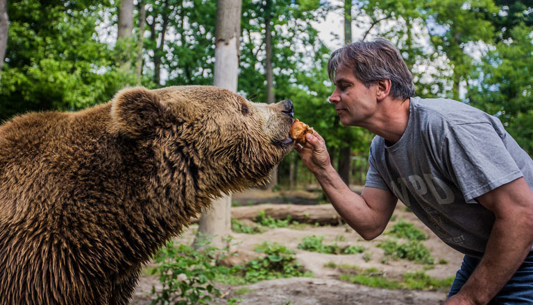 Összefogást! Legyen a twitterező magyar medve az internet új sztárja!