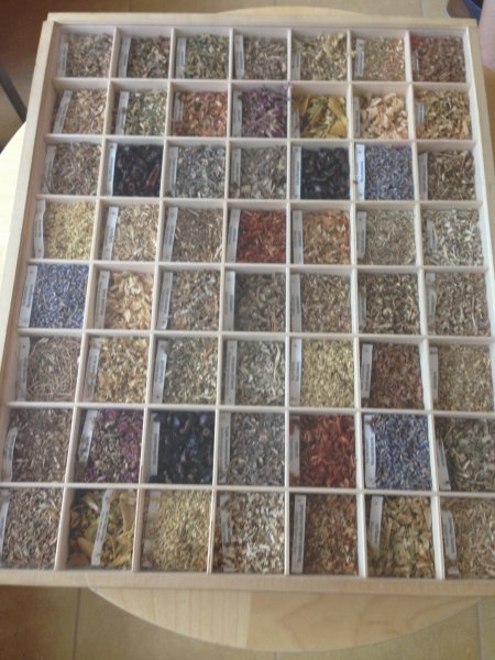 Gyógynövénytúra a füvesember kertjében