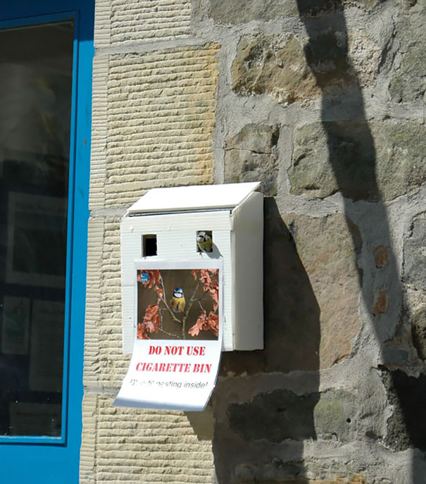 20 madárfészek, ami szokatlan helyre épült - fotók