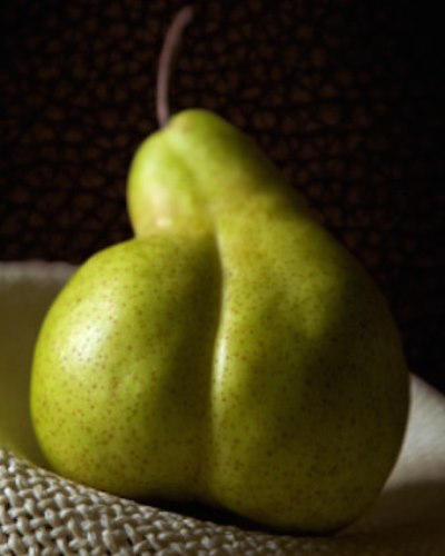 12 fotó bizonyítja, hogy a gömbölyded popsi mennyire guszta 12 fotó bizonyítja, hogy a gömbölyded popsi mennyire guszta