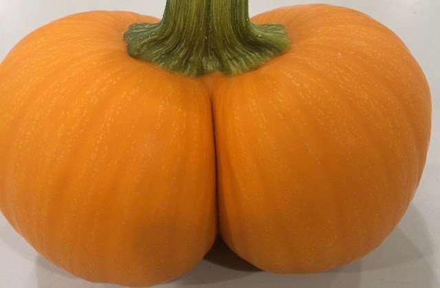 12 fotó bizonyítja, hogy a gömbölyded popsi mennyire guszta 12 fotó bizonyítja, hogy a gömbölyded popsi mennyire guszta