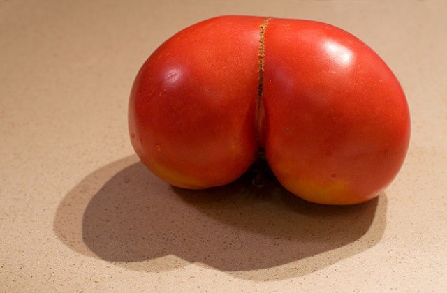 12 fotó bizonyítja, hogy a gömbölyded popsi mennyire guszta 12 fotó bizonyítja, hogy a gömbölyded popsi mennyire guszta