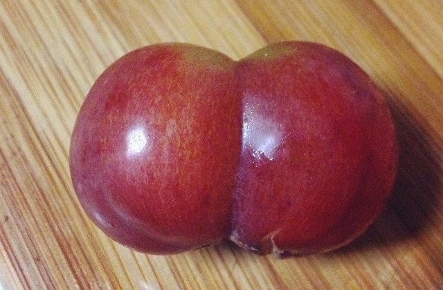 12 fotó bizonyítja, hogy a gömbölyded popsi mennyire guszta 12 fotó bizonyítja, hogy a gömbölyded popsi mennyire guszta