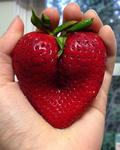 12 fotó bizonyítja, hogy a gömbölyded popsi mennyire guszta 12 fotó bizonyítja, hogy a gömbölyded popsi mennyire guszta