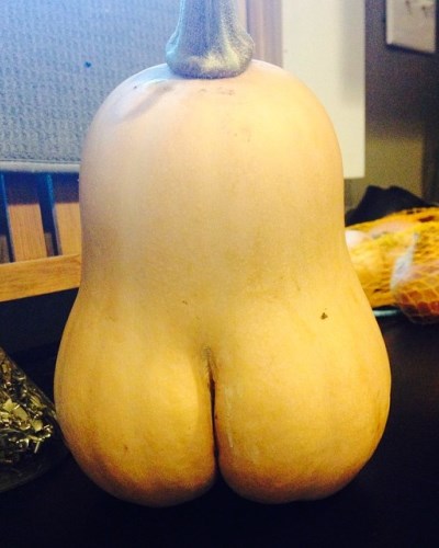 12 fotó bizonyítja, hogy a gömbölyded popsi mennyire guszta 12 fotó bizonyítja, hogy a gömbölyded popsi mennyire guszta