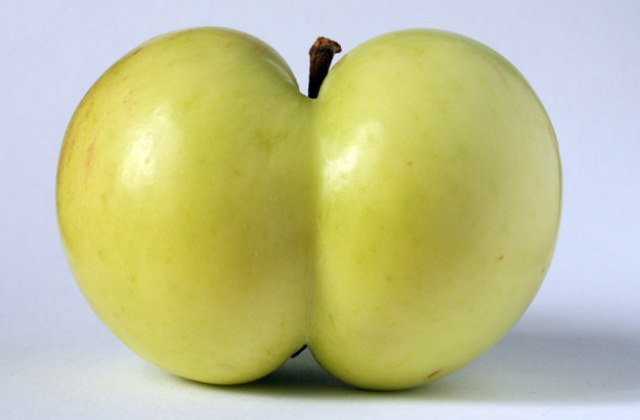 12 fotó bizonyítja, hogy a gömbölyded popsi mennyire guszta 12 fotó bizonyítja, hogy a gömbölyded popsi mennyire guszta