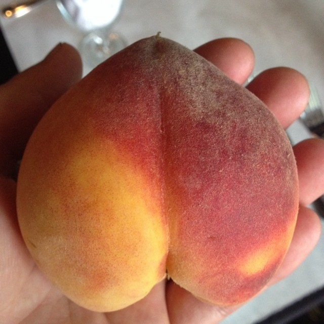 12 fotó bizonyítja, hogy a gömbölyded popsi mennyire guszta 12 fotó bizonyítja, hogy a gömbölyded popsi mennyire guszta