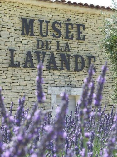 Múzeumok éjszakája: ezek a vidéki múzeumok várnak Múzeumok éjszakája: ezek a vidéki múzeumok várnak