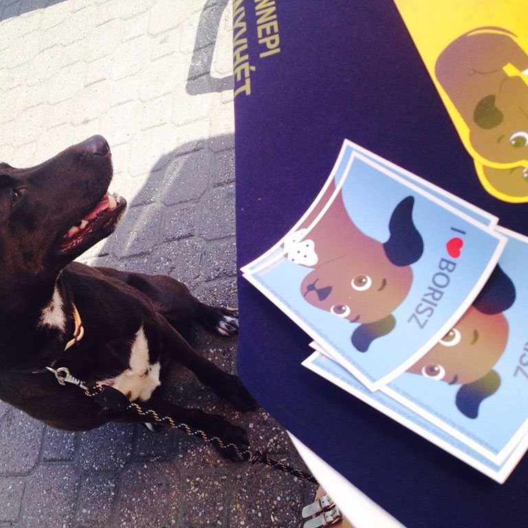 Borisz, az Ünnepi könyvhét vendégeként