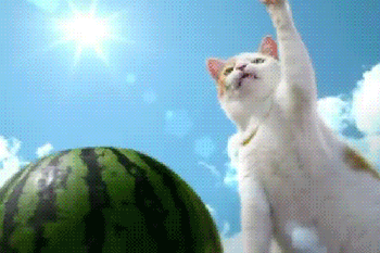 Hőségriadó hétfőig: csináld ezt, hogy kibírd!