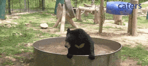 Hőségriadó hétfőig: csináld ezt, hogy kibírd!