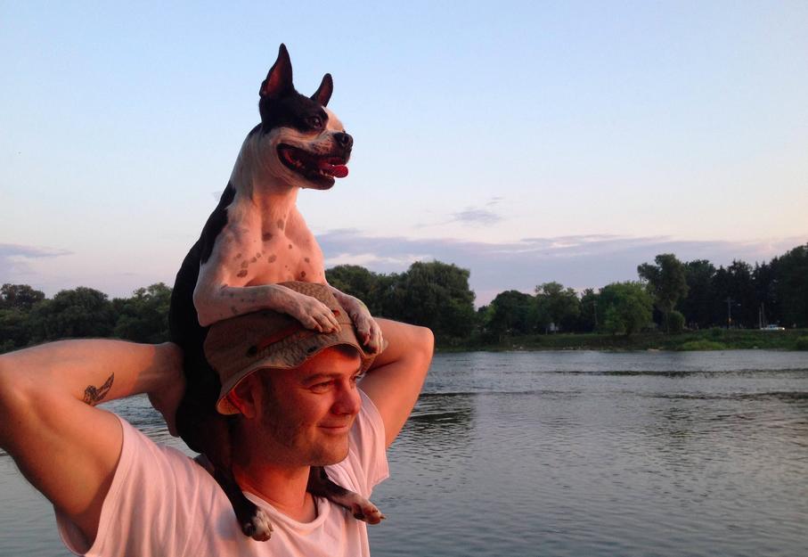 Ilyen lenne, ha a kutyáknak is lenne nyári bakancslistájuk!